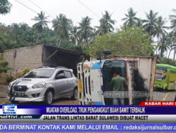 Berita Video : Muatan Overload, Truk Pengangkut Buah Sawit Terbalik, Jalan Trans Lintas Barat Sulawesi Dibuat Macet