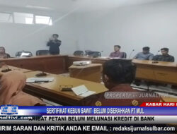 Berita Video : Sertifikat Kebun Sawit  Belum Diserahkan PT Mul, Akibat Petani Belum Melunasi Kredit di Bank