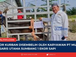 27 Ekor Kurban Disembelih Oleh Karyawan PT Mul, Komisaris Utama Sumbang 1 Ekor Sapi