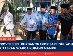 Pemprov Sulsel Kurban 26 Ekor Sapi Idul adha, Prioritaskan Warga Kurang Mampu