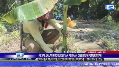 Berita Video : Kesal Jalan Produksi Tak Kunjung Tersentuh Pemerintah, Warga Tura, Pasangkayu, Tanam Pisang di Jalan Berlubang