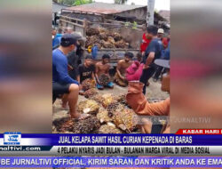 Berita Video : Jual Kelapa Sawit Hasil Curian Kepenada di Baras, 4 Pelaku Nyaris Jadi Bulan – Bulanan Warga Viral di Media Sosial