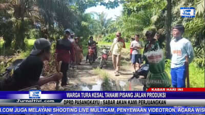 Berita Video : Warga Tura Kesal Tanami Pisang Jalan Produksi, DPRD Pasangkayu : Sabar Akan Kami Perjuangkan