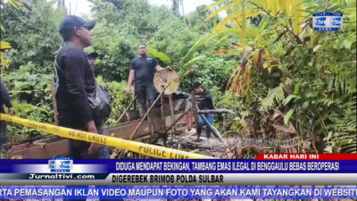Berita Video : Diduga Mendapat Bekingan, Tambang Emas Ilegal di Benggaulu Bebas Beroperasi Digerebek Brimob Polda Sulbar