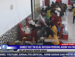 Berita Video : Sambut HUT TNI ke-80, Ratusan Personil Kodim 1414 Tator Gelar Baksos Donor Darah