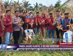 Berita Video : Panen Jagung Kuartal III Secara Serentak, Kapolsek Bambalamotu : Bukti Nyata Polri Dukung Ketahanan Pangan