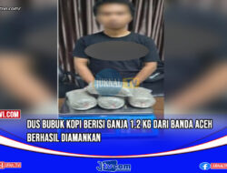 Dus Bubuk Kopi Berisi Ganja 1.2 Kg dari Banda Aceh Berhasil Diamankan