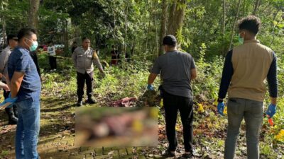 DiDuga Asmara Di Tolak Korban Di Bunuh Dengan Sadis