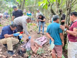Diduga Gantung Diri di Kebun, Kapolres Enrekang Turun Langsung Olah TKP
