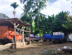 3 Mobil Bak Terbuka Berisi 143 Karung Pupuk Subsidi Diamankan Polisi 5 Orang Sopir dan Karnet Ikut Diamanakan