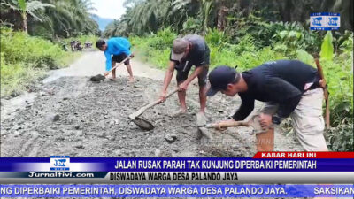 Berita video : Jalan Rusak Parah Tak Kunjung Diperbaiki Pemerintah, Diswadaya Warga Desa Palando Jaya