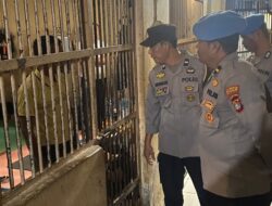 Tersangka Kasus Korupsi Pintu Gerbang Bertambah Mantan Kabid Cipta Karya Mamuju Ikut Ditahan