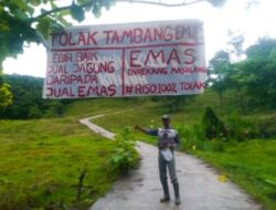 Berita Terkini: Warga Enrekang Tolak Tambang Emas, Lebih Baik Jual Jagung daripada Jual Emas