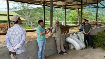 Dorong Penguatan Bibit Unggul Ternak, Kepala Dinas TPHP Sulbar Kunjungi UPTD BPHMT-IB IPTU Beroangin