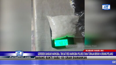 Berita Video : Gerebek Bandar Narkoba, Tim SatRes Narkoba Polres Tana Toraja Bekuk 4 Orang Pelaku, Barang Bukti Sabu 100 Gram Diamankan