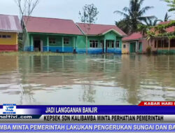 Berita Video : Jadi Langganan Banjir, Kepsek SDN Kalibamba Minta Pemerintah Lakukan Pengerukan Sungai dan Bangun Tanggul