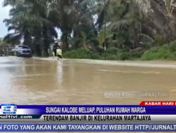 Berita Video : Sungai Kalobe Meluap, Puluhan Rumah Warga di Martajaya Terendam Banjir