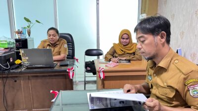 Optimalkan Aplikasi Potensi Investasi Regional Pemerintah Pusat dan DPMPTSP Sulbar Bersinergi