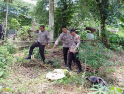 Santri Wati Pembuang Bayi Baru Lahir di Belakang Pesantren Ditangkap Polisi