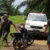 Ronal Regen Laporkan Aksi Pencurian Buah Sawit di Perkebunan Milik WKSM di Polisi