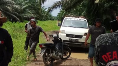 Ronal Regen Laporkan Aksi Pencurian Buah Sawit di Perkebunan Milik WKSM di Polisi