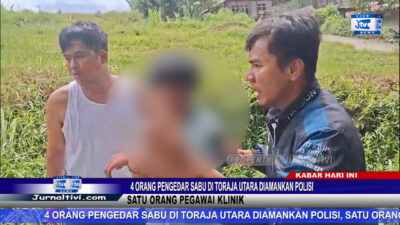 Berita Video : 4 Orang Pengedar Sabu di Toraja Utara Diamankan Polisi, Satu Orang Pegawai Klinik