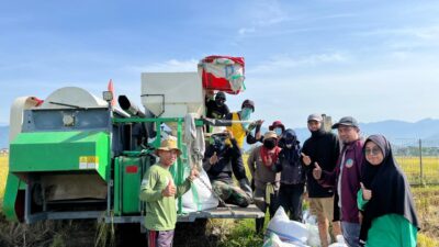 UPTD BBTPH Sulbar Panen Calon Benih Padi Inbrida Sawah, Targetkan 30 Ton Benih Berkualitas