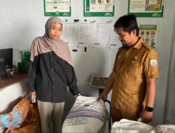 Dukung Ketahanan Pangan, UPTD BBTPH Sulbar Kirim Benih Jagung Komposit ke Medan