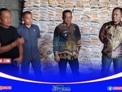 Kunjungi Gudang Bulog Pammanu Dengan Anggota DPR RI, Bupati Luwu : Produksi Padi Luwu Melesat 8 Ton/Hektar