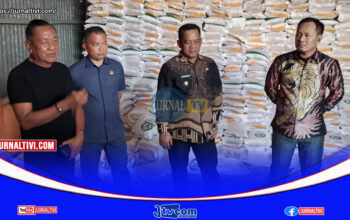 Kunjungi Gudang Bulog Pammanu Dengan Anggota DPR RI, Bupati Luwu : Produksi Padi Luwu Melesat 8 Ton/Hektar