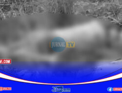 Pria Tewas Di keroyok Dua Bersaudara di Pasar Salugatta, Polisi Ringkus Dua Pelaku