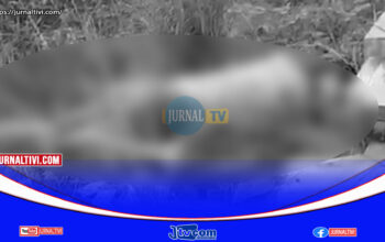 Pria Tewas Di keroyok Dua Bersaudara di Pasar Salugatta, Polisi Ringkus Dua Pelaku