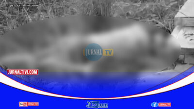 Pria Tewas Di keroyok Dua Bersaudara di Pasar Salugatta, Polisi Ringkus Dua Pelaku