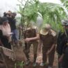 Bupati Enrekang Tanam Pohon Pakis Hutan dan Resmikan Eko Wisata Buntu Dama: Nanti Kita Bermalam Bersama Kadis