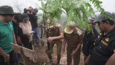 Bupati Enrekang Tanam Pohon Pakis Hutan dan Resmikan Eko Wisata Buntu Dama: Nanti Kita Bermalam Bersama Kadis