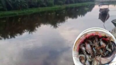 Sungai Barakkang Hingga ke Pantai Lamba Lamba Diduga Tercemar Limbah Sawit, Pungunjung Pantai Gatal Gatal