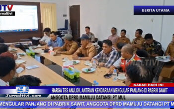 Berita Video : Harga TBS Anjlok, Antrian Kendaraan Mengular Panjang di Pabrik Sawit, Anggota DPRD Mamuju Datangi PT MUL