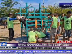 Berita Video : Wujudkan Kepedulian Sosial, PT MUL Tebar 29 Ekor Sapi Kurban, Dagingnya Dibagikan Ke Pesantren dan Panti Asuhan di Tommo