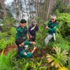 Mahasiswa Agroteknologi UNIMEN Tanam Pohon di Hutan Pinus Pasongken, Ajak Waga Jaga Ekosistem