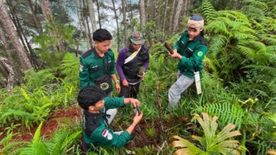 Mahasiswa Agroteknologi UNIMEN Tanam Pohon di Hutan Pinus Pasongken, Ajak Waga Jaga Ekosistem