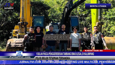 Berita Video : 1 Bulan Pasca penggerebekan Tambang Emas Ilegal di Kalumpang, Polisi Belum Tetapkan Tersangka
