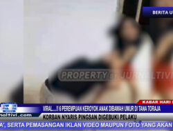 Berita Video : Viral….!! 6 Perempuan Keroyok Anak Dibawah Umur di Tana Toraja, Korban Nyaris Pingsan Digebuki Pelaku