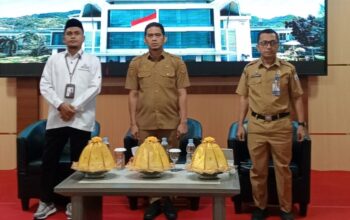 KominfoSS Sulbar Siapkan Strategi Baru Optimalkan SPAN-LAPOR!