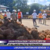Berita Video : Lakukan Pertemuan Dengan 17 Anggota Kelompok Tani, PT Mul Minta Kwalitas TBS Ditingkatkan