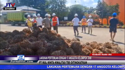 Berita Video : Lakukan Pertemuan Dengan 17 Anggota Kelompok Tani, PT Mul Minta Kwalitas TBS Ditingkatkan