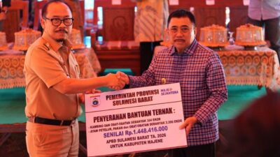 Meski Anggaran Terbatas, Pemprov Sulbar Target Tambah Bantuan Ternak di 2027