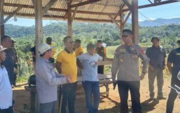 Tinjau Langsung Lahan Jagung, Kapolres Enrekang: Sinergi Kunci Ketahanan Pangan