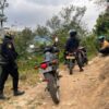 Grebek Sabung Ayam di Enrekang, Pelaku dan Penonton Kocar-kacir Tinggalkan Lokasi