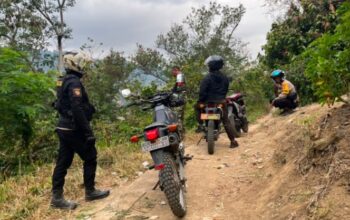 Grebek Sabung Ayam di Enrekang, Pelaku dan Penonton Kocar-kacir Tinggalkan Lokasi