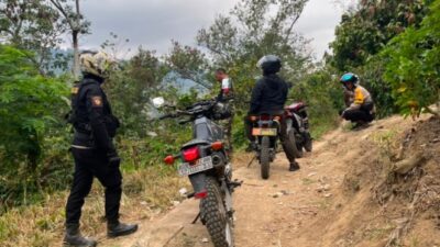 Grebek Sabung Ayam di Enrekang, Pelaku dan Penonton Kocar-kacir Tinggalkan Lokasi